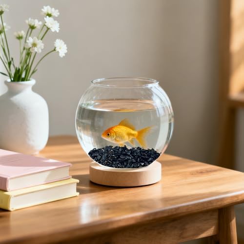 Aquarium layout featuring black natural gravel substrate