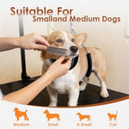 All-in-one grooming solution components laid out