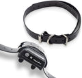 Close up of the adjustable buckle on the EveryPet training collar strap