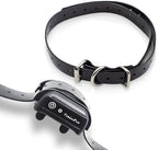 Close up of the adjustable buckle on the EveryPet training collar strap