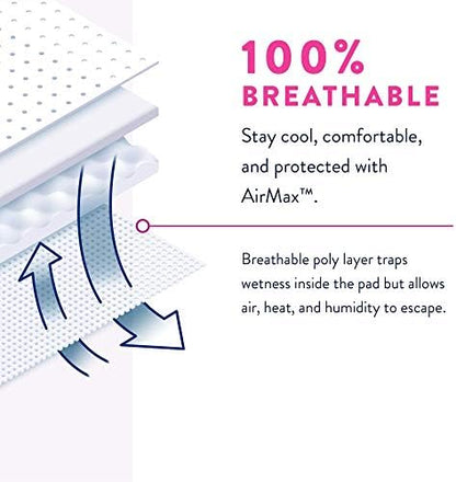 Prevail daily underwear for women 80 count protective hygiene box