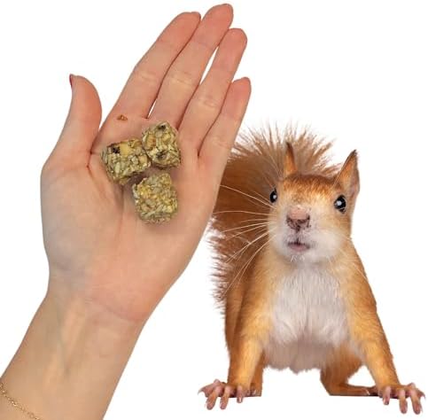High protein squirrel food blocks for dental health and jaw exercise.