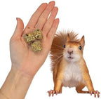 High protein squirrel food blocks for dental health and jaw exercise.