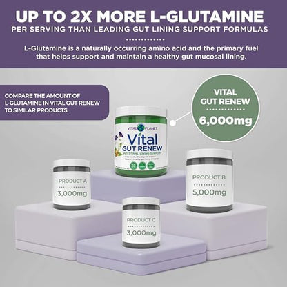 Vital Planet digestive support supplement for leaky gut repair
