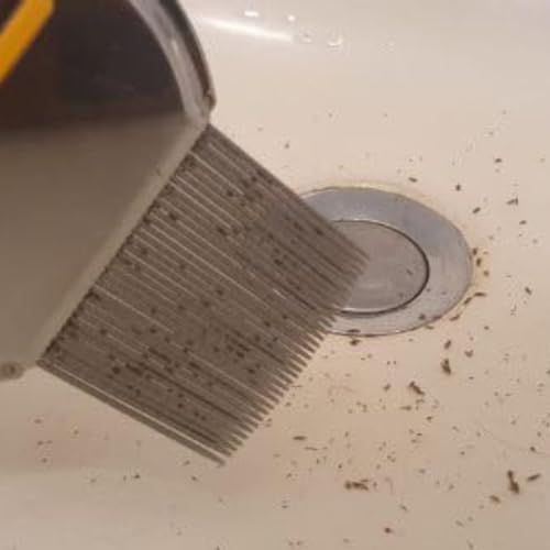 Close up of the double spiral metal teeth on the Bussani nit brush for effective hair treatment.