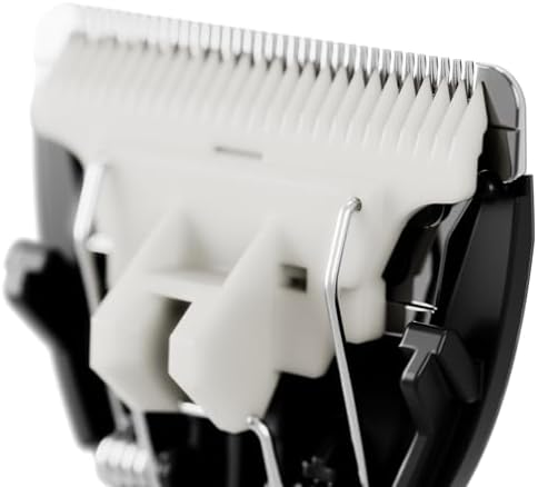 Top view of Meridian ceramic replacement blades