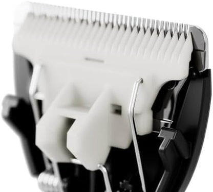 Top view of Meridian ceramic replacement blades