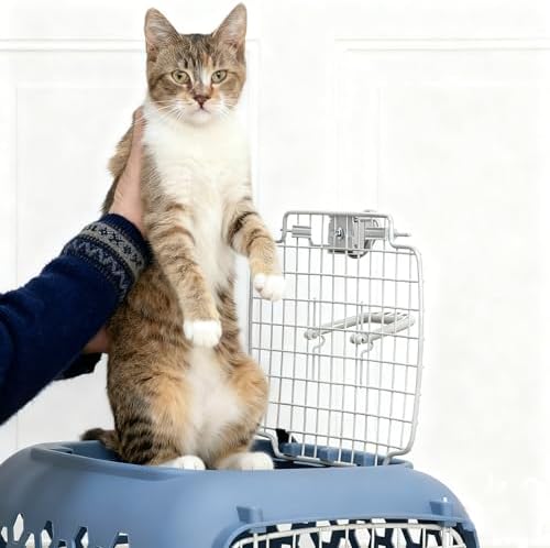 Secure single motion locking latch on the front wire door of the pet carrier