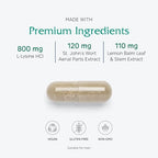 Close up view of the product cap and safety seal on Vitanica Lysine Extra