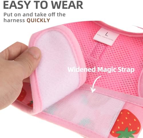 PUPTECK small animal walking outfit set laid flat with matching pink leash.