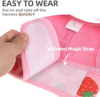 PUPTECK small animal walking outfit set laid flat with matching pink leash.