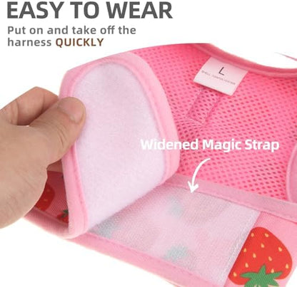 PUPTECK small animal walking outfit set laid flat with matching pink leash.