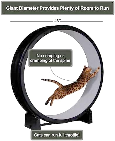 One Fast Cat heavy duty feline running wheel showing premium polyurethane inline rollers