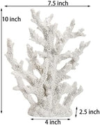 TOPZEA decorative stony coral showing close up intricate organic textures and branches.