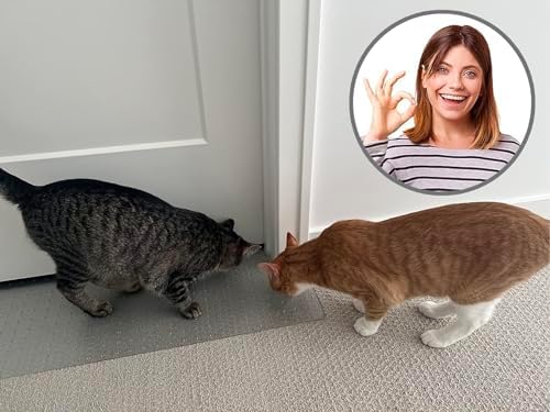 KittySmart clear plastic mat layout near door