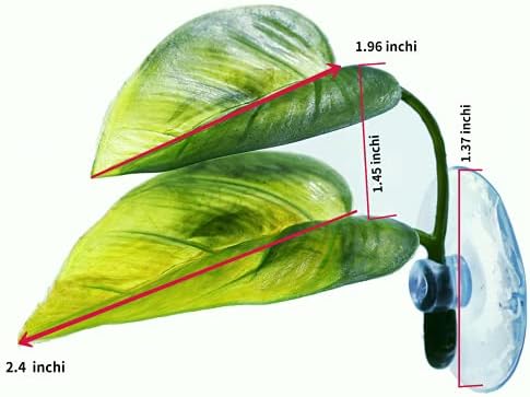 DODOAQUA betta fish breeding resting bed showing large and small leaf dimensions