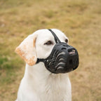 Side view of Diketone large dog basket muzzle showing adjustable straps