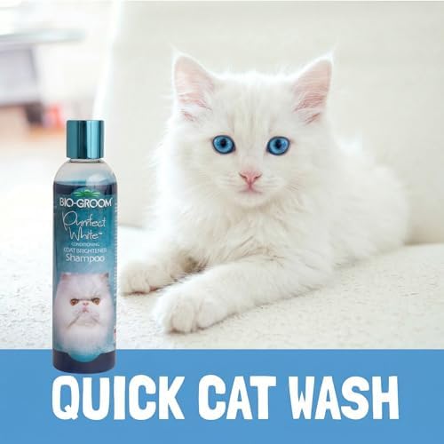Eco-friendly cat grooming shampoo bottle lifestyle setting