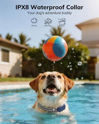 HapTop handheld remote transmitter showcasing the compact ergonomic design for outdoor pet training.