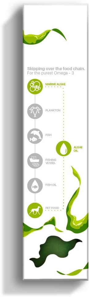 Premium marine algae oil for cat skin and coat health improvement