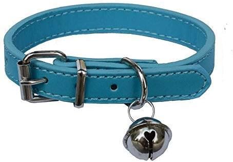 Lanyarco turquoise blue leather pet collar front view premium kitten fashion