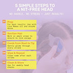 Durable plastic lice combs for kids and adults hair hygiene.