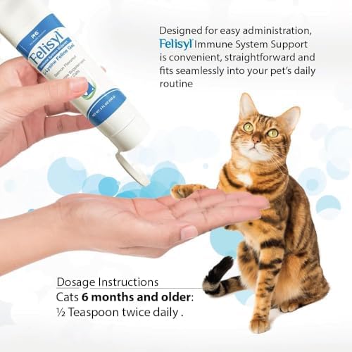 INSCN Felisyl L-Lysine Gel two pack containers
