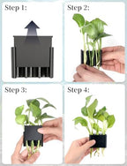 Sogiv brand aquatic plant holder setup for natural nitrate reduction
