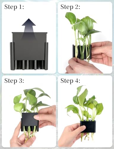 Sogiv brand aquatic plant holder setup for natural nitrate reduction