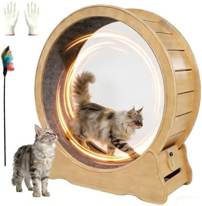 ZooVibe cat running wheel showing the detachable carpet runway track close up