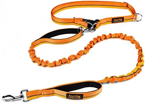 Close up of Mighty Paw bungee leash shock absorbing feature