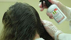 Lice Sisters nit glue dissolver spray for easy egg removal and combing
