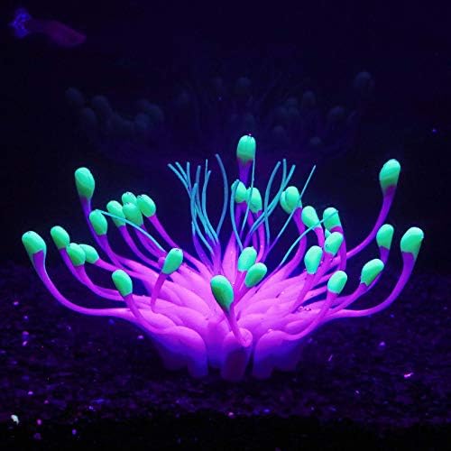 Bluecoco purple coral ornament showing silicone texture