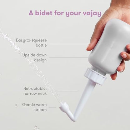 Frida Mom gray portable bidet with angled neck and travel bag
