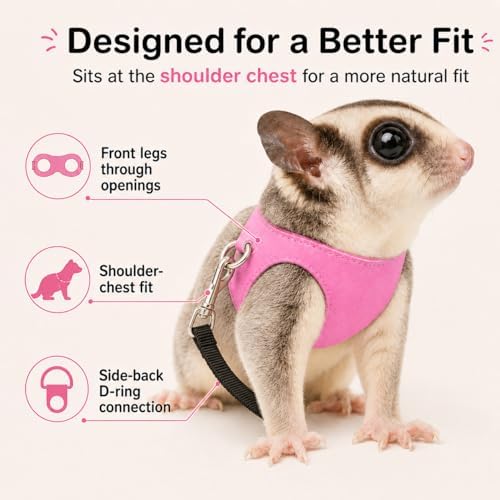 Meow and Woof pink small animal harness worn by a sugar glider