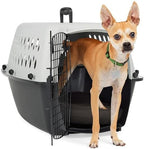 EveryYay by Petco Portable Plastic Pet Kennel front view showing the secure metal latch door.