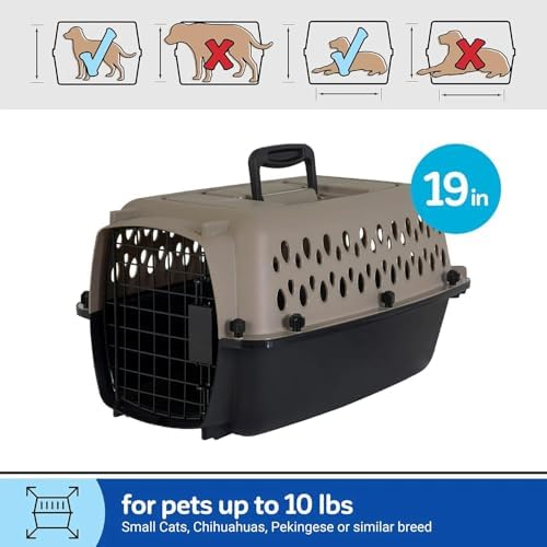 Compact 10 pounds capacity cat travel crate standing on a flat surface.