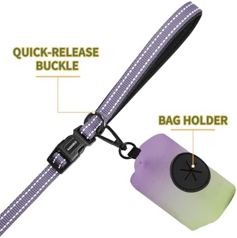 Premium imported USA dog walking accessories showing complete hands free setup.
