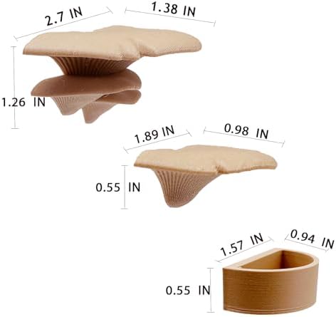 2 Pack Jumping Spider Accessories Mushroom Ledges & 1 Pack Water Bowl with Magnets for Spoods Jumping Spiders Magnetic Ledge Ladder Pet Spider Accessories (Not Included The Terrarium) (beige) - Image 7