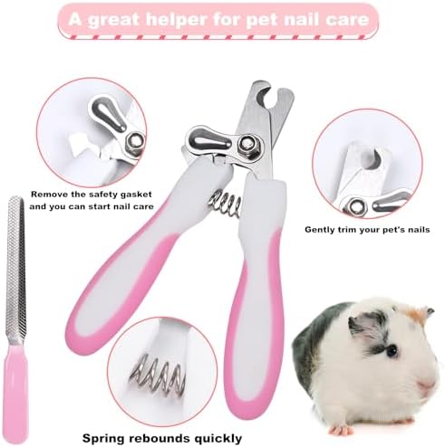 WOOPSOO hamster cleaning comb and professional nail file tools displayed outside of the protective blue plastic carrying box.