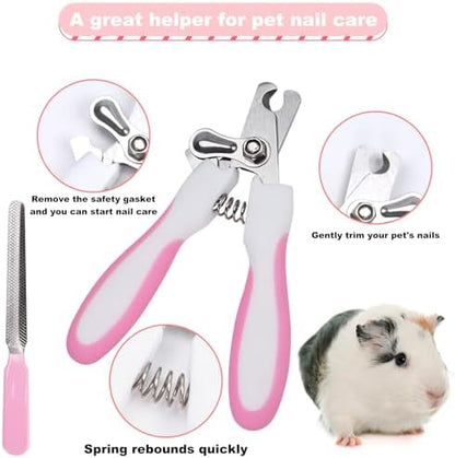 WOOPSOO hamster cleaning comb and professional nail file tools displayed outside of the protective blue plastic carrying box.