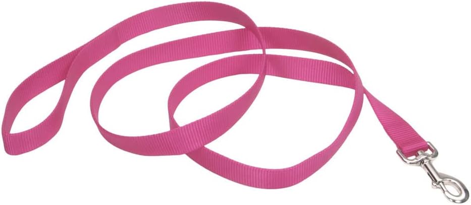 Coastal Pet Single-Ply Dog Leash - Sturdy Pet Leash - Comfortable & Stylish - Resists Fraying - Vibrant & Fade-Resistant Color - Neon Pink, 3/8" x 6' - Image 12