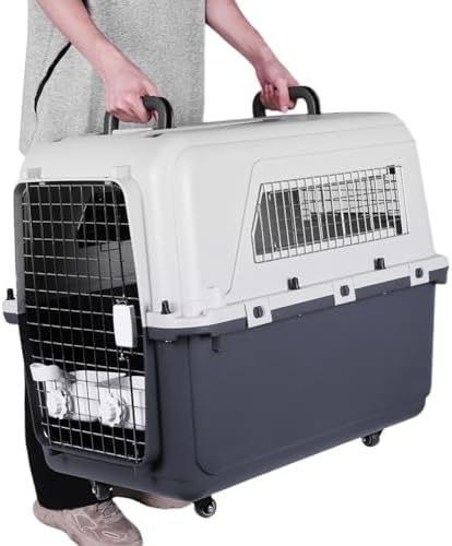 Generic rolling pet crate with top handle for easy airport transportation.