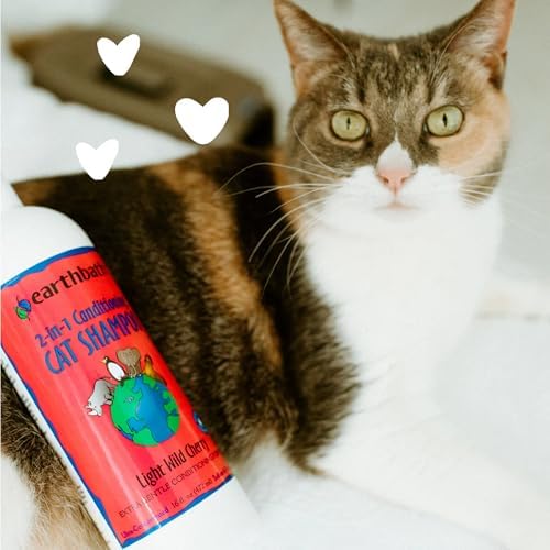 Groomer lathering a cat coat with natural conditioning shampoo
