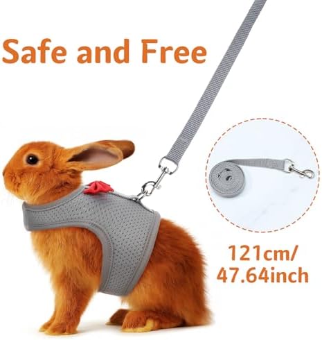 Prasacco breathable rabbit vest harness laid flat showing soft padded borders and elastic cushioning structure