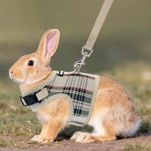 Aiitle escape-proof bunny harness showing the high-strength wide magic tape closure design.