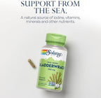 Solaray Bladderwrack supplement facts label detailing iodine content and serving size.
