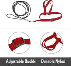 Two pieces of red parrot flying leash kits laid out with handles