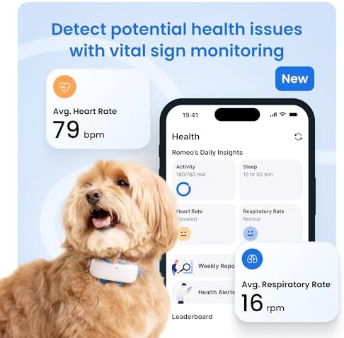 Close up of Tractive health and activity monitor design