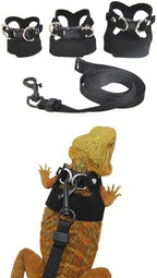 Escape proof lizard walking vest attached to a long retractable lead rope